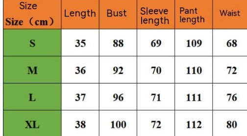 Puff Long Sleeve Button-Up Women's Blouse + Bell-Bottom Pants 2-Piece Set