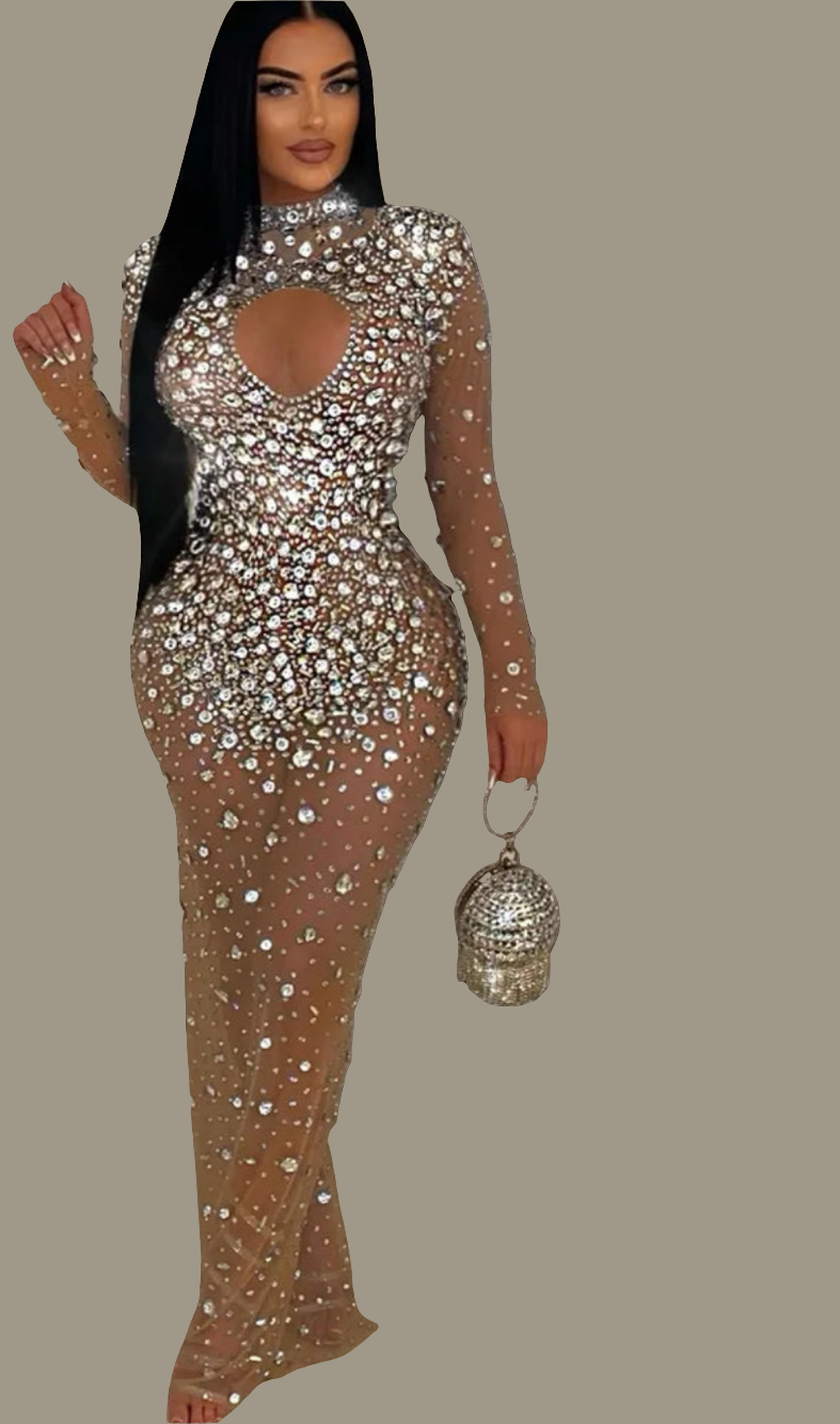 Sparkling Sheer Sequin Rhinestone Hollow-Out Transparent Silver/Black Long Sleeve Maxi Formal Party Dress