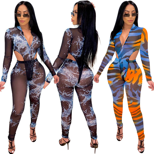 Mesh Sheer Transparent Geometric V-Neck Tropical/Graffiti Print Long Sleeve Crop Top + Skin Tight Leggings Women's 2-Piece Set