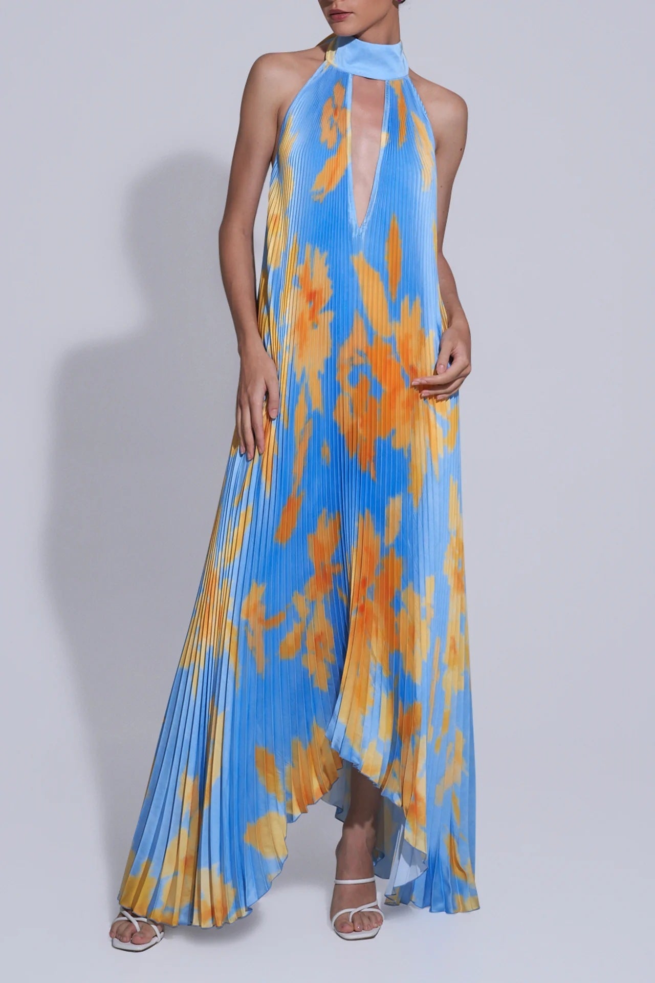 Floral Print Pleated Sleeveless Deep V-Neck Halter Backless Swing Maxi Dress