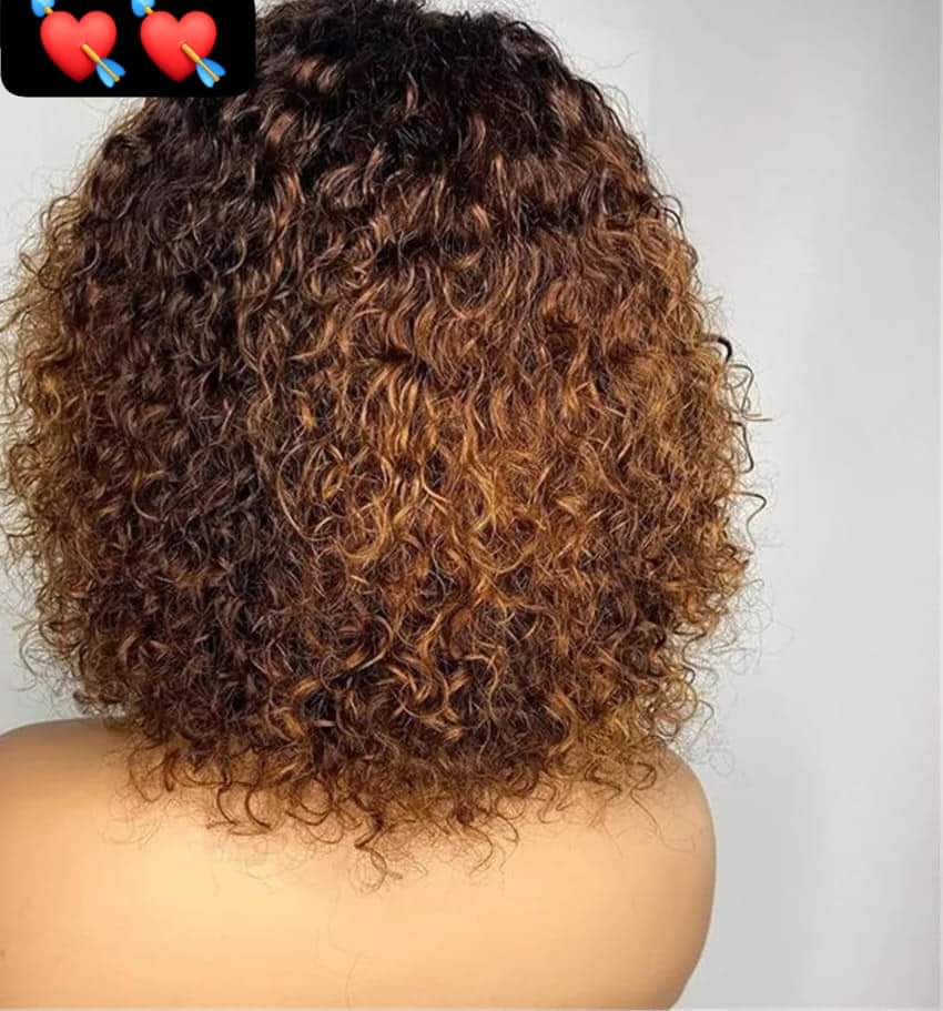 Peruvian Jerry Curly Highlighted Colored Wigs Remy 100% Human Hair Wigs