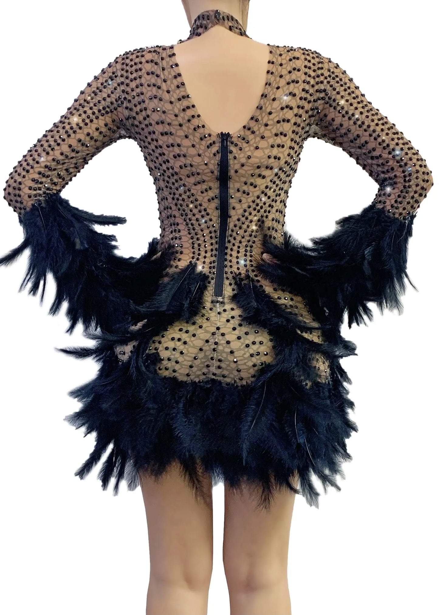 Mesh Black Rhinestone Long Sleeve Feather Transparent Mini Dress