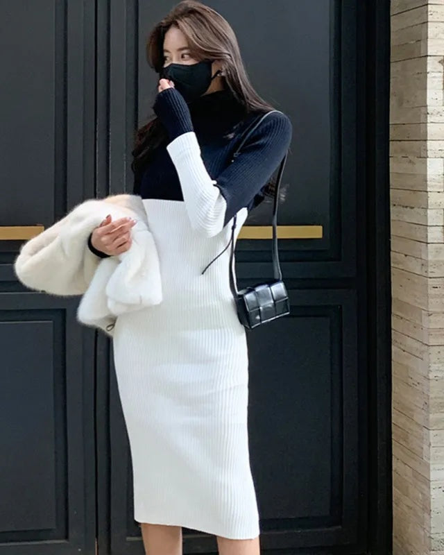 Black/White Patchwork Colorblock Turtleneck Knitted Long Sleeve Skinny Fit Midi Sweater Dress