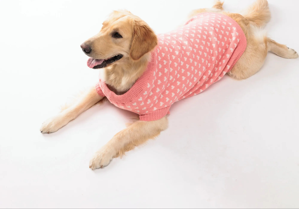 Winter Heart Pattern Dog Sweater