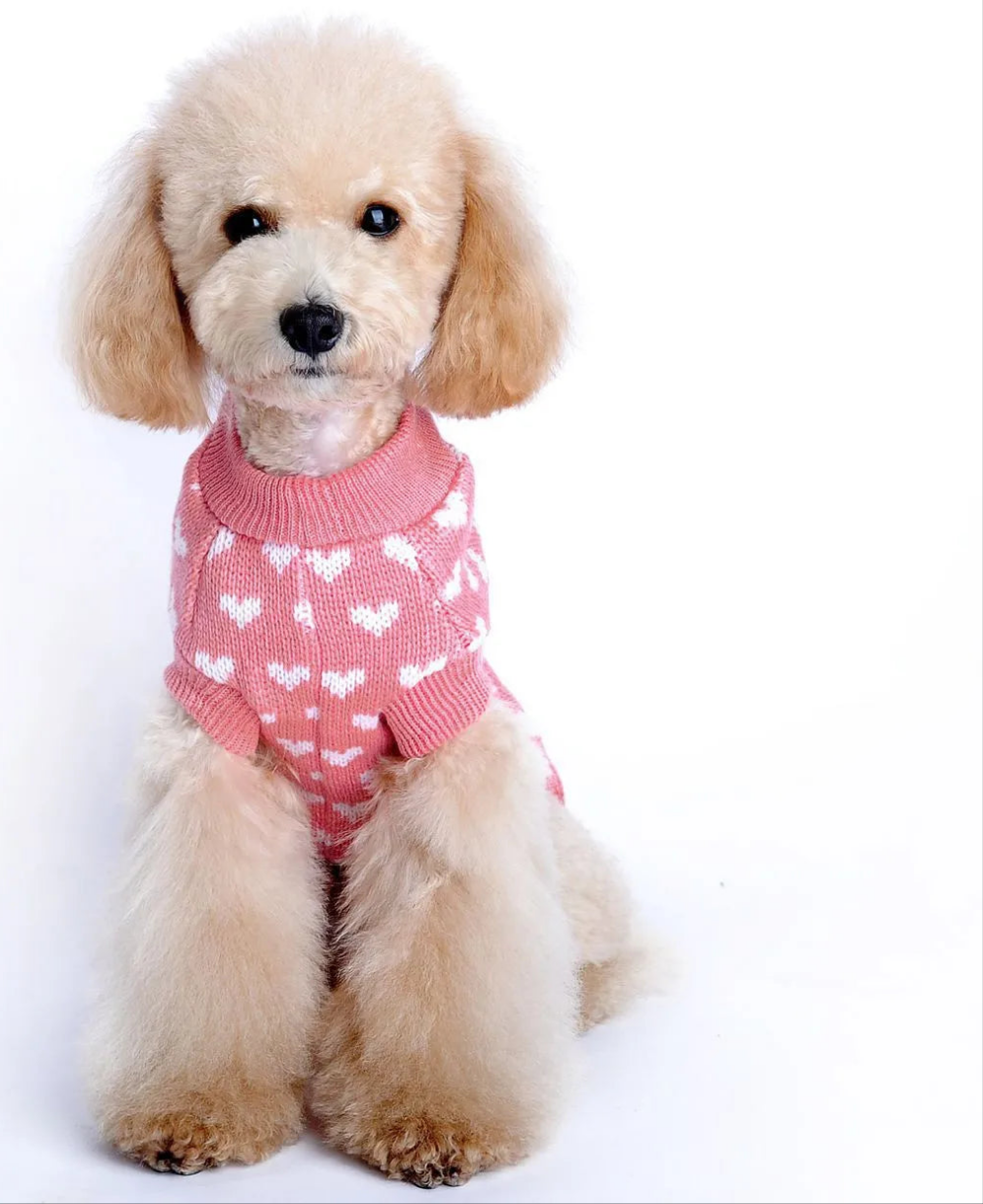 Winter Heart Pattern Dog Sweater