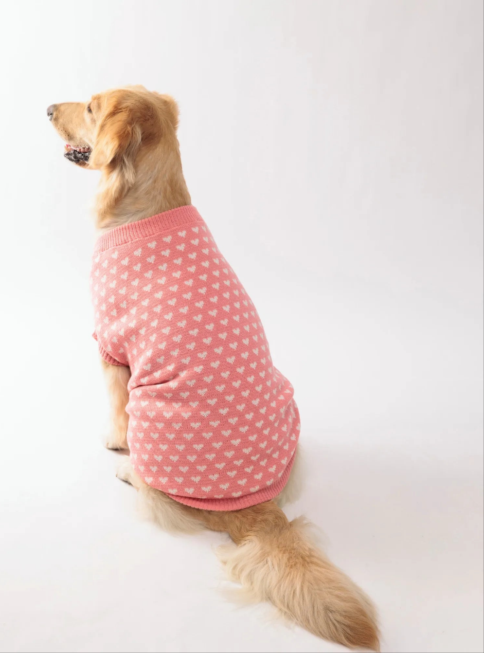 Winter Heart Pattern Dog Sweater