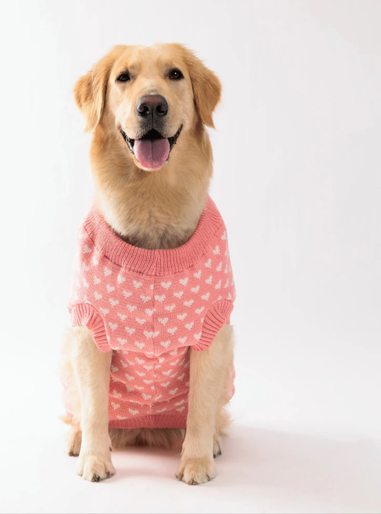 Winter Heart Pattern Dog Sweater