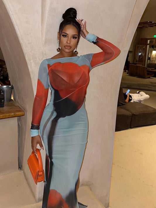 Mesh Sheer Transparent Big Flower Print Long Sleeve Maxi Dress