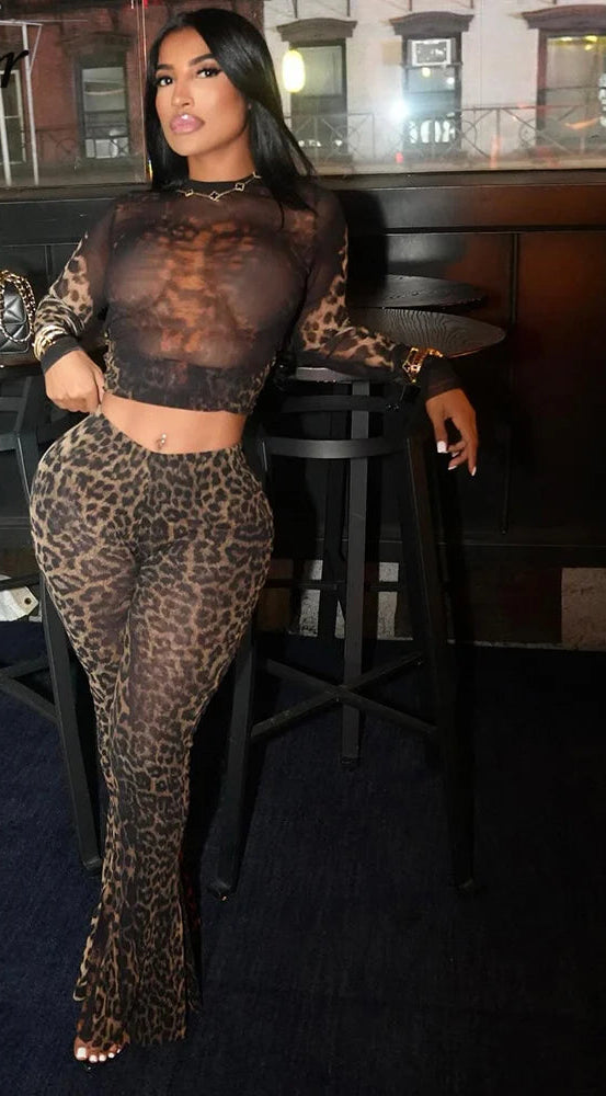 Sheer Transparent Leopard Print Hollow-Out Long Sleeve Crop Top + Skin Tight Leggings Women's 2-Piece Set
