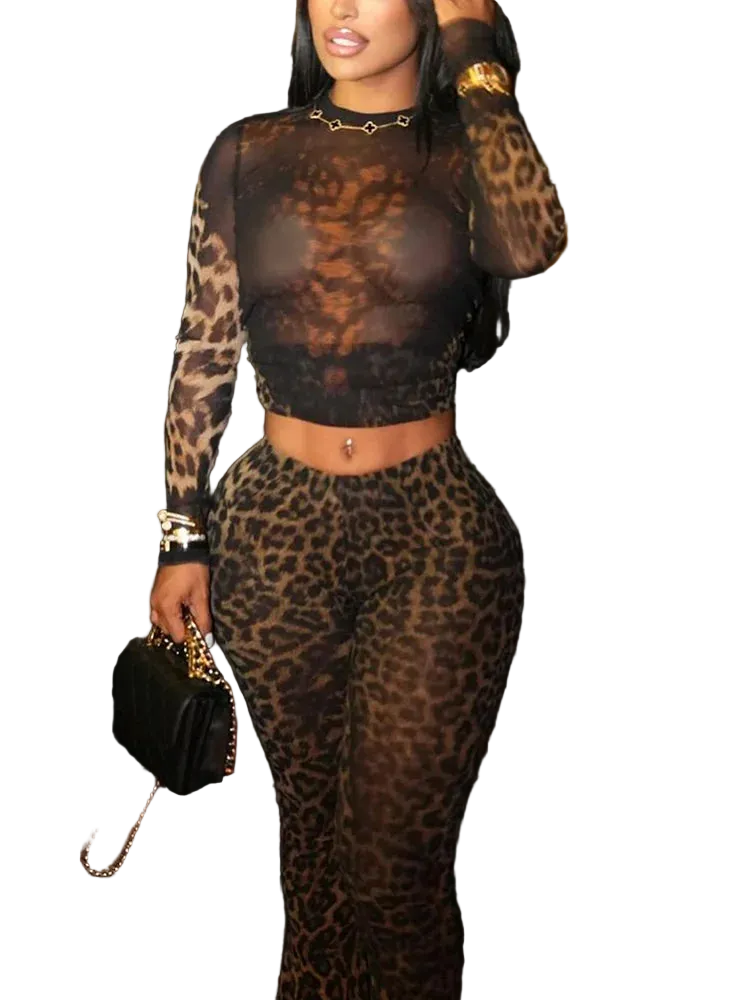 Sheer Transparent Leopard Print Hollow-Out Long Sleeve Crop Top + Skin Tight Leggings Women's 2-Piece Set