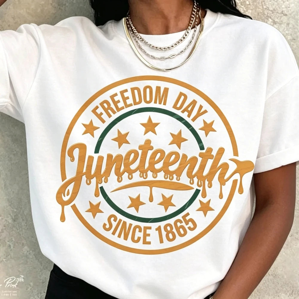Juneteenth 1865 Freedom Day Since 1865 T-Shirt to 3X Plus Size