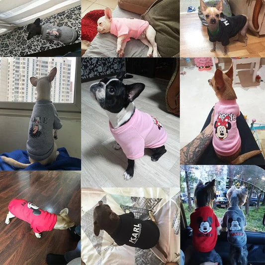 Disney Characters Print Dog Hoodie Onesies