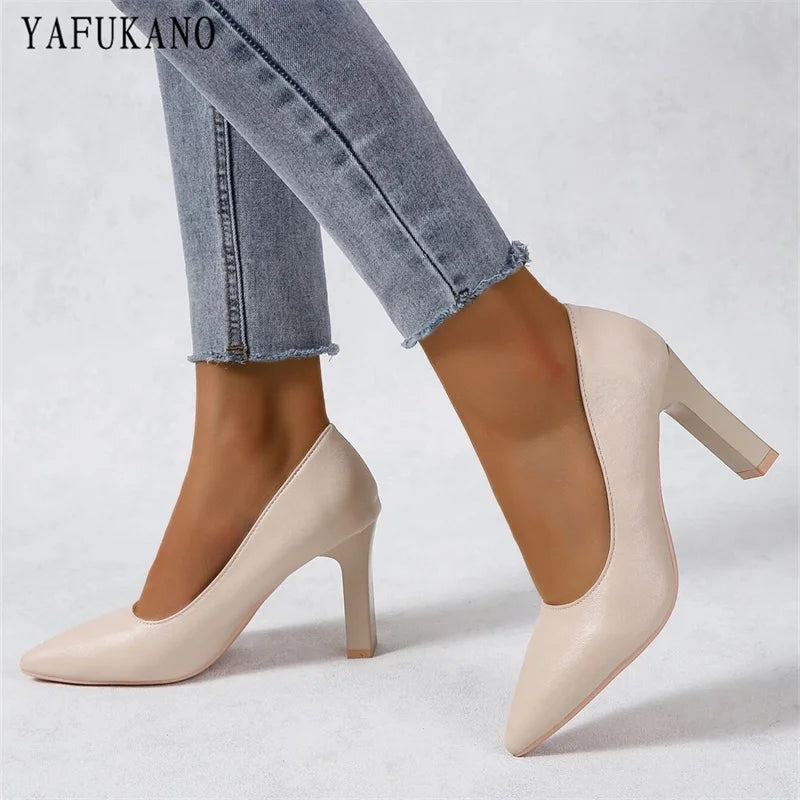 Vintage Pointed Toe Chunky High Heel Office Pumps