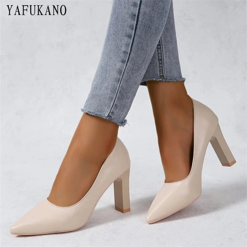 Vintage Pointed Toe Chunky High Heel Office Pumps