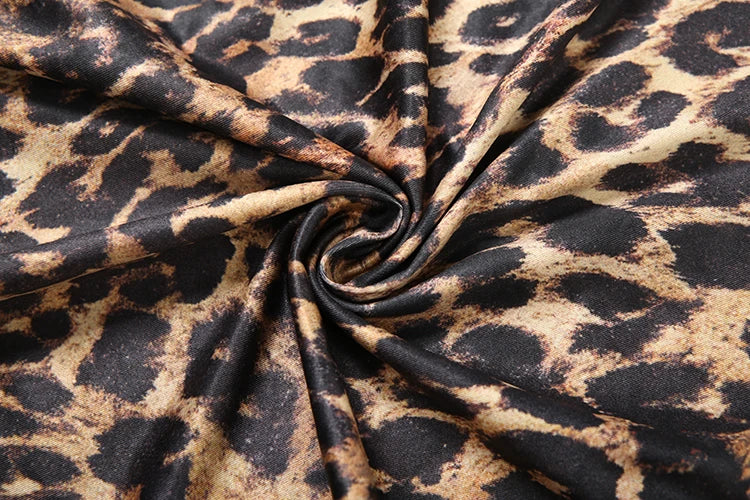 Leopard Print Deep V-Neck Ruched Maxi Ribbon Design Hollow-Out Long Sleeve Bodycon High Slit Maxi Club Dress