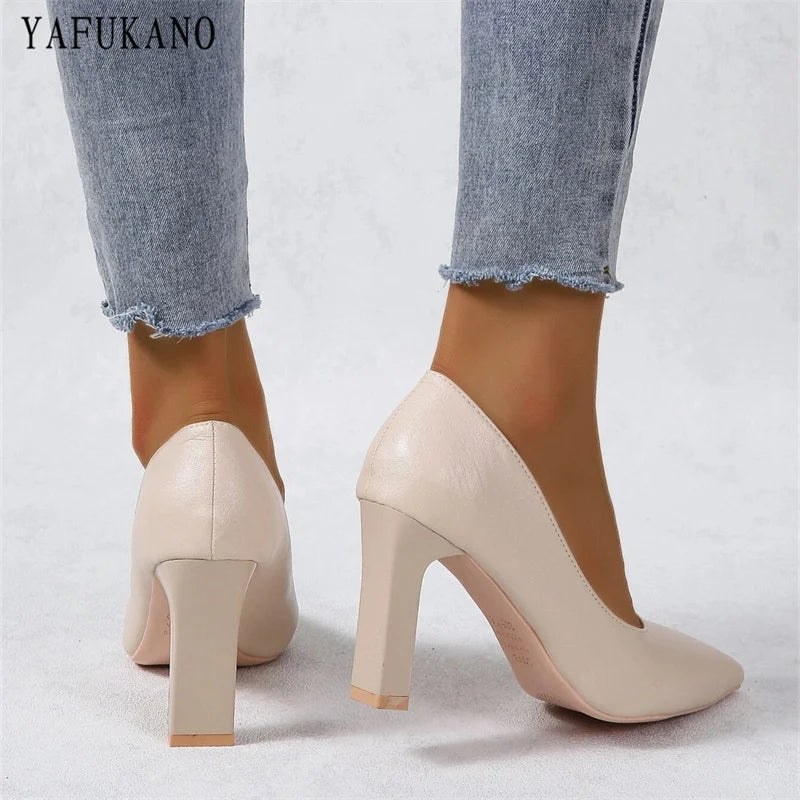 Vintage Pointed Toe Chunky High Heel Office Pumps