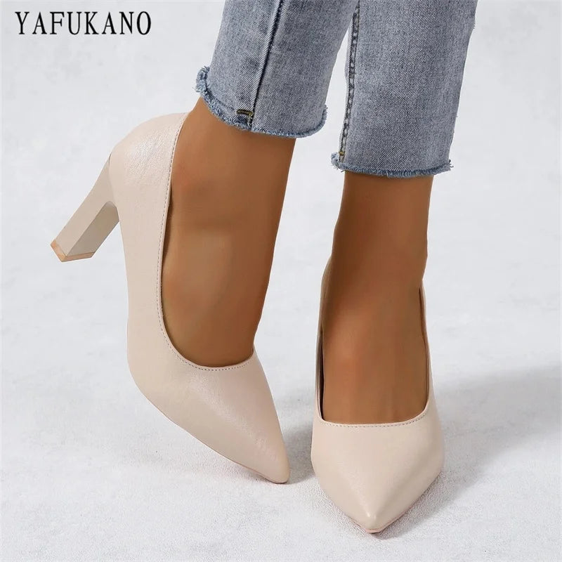 Vintage Pointed Toe Chunky High Heel Office Pumps