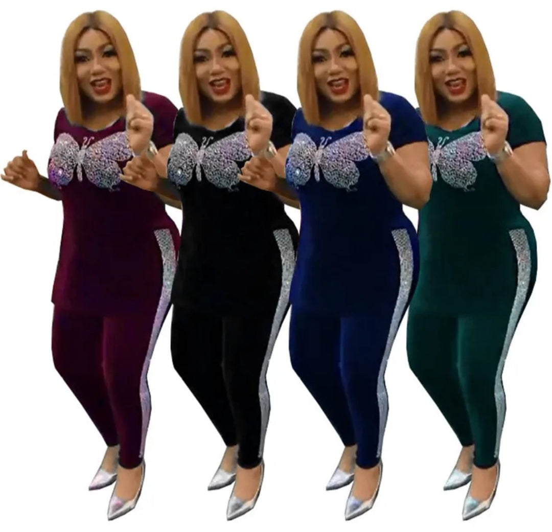 Velvet Metallic Butterfly Embroidered Short Sleeve Top & Side Striped Skinny Pants 2-Piece Set to 3X Plus Size