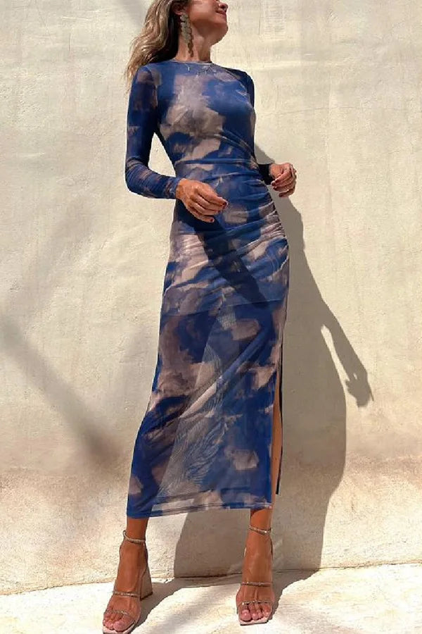 Mesh Floral Transparent Printed Long Sleeved Dress