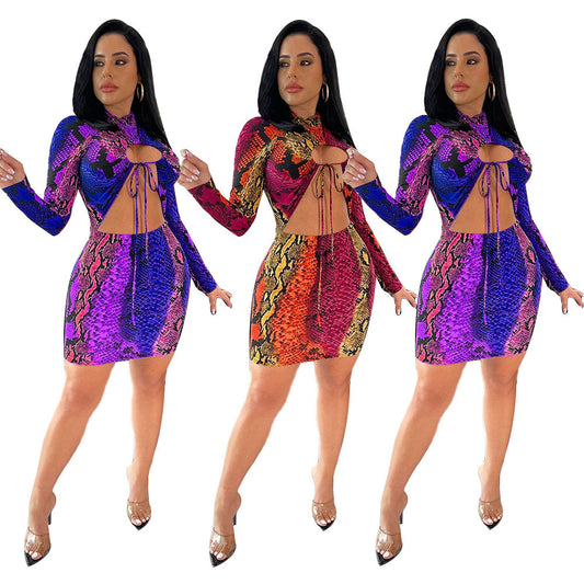 Snake Print Lace-Up Colorblock Long Sleeve Hollow-Out Mini Club Dress