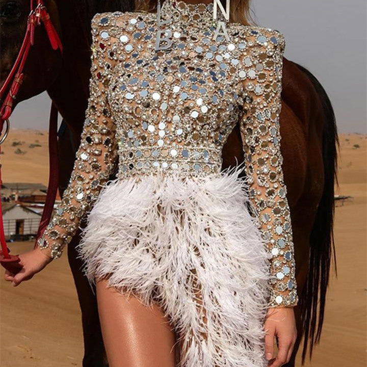 Sparkling Metallic Sequin Design Long Sleeve Feather Embroidered Tutu Skirt Formal Party Dress