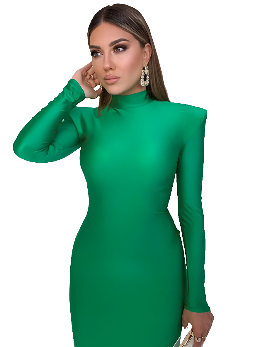 Turtleneck Solid Long Sleeve Bodycon Skinny Maxi Dress