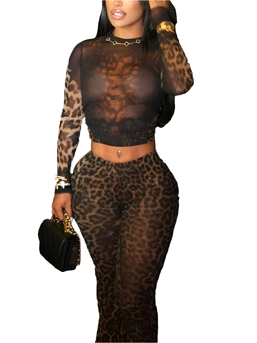 Leopard Pattern Sheer Transparent Print Long Sleeve Crop Top + Elastic Waist Pants 2-Piece Set