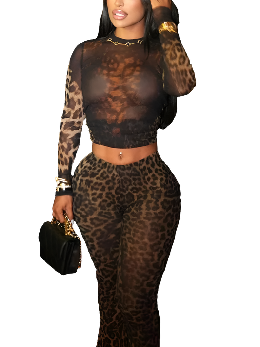 Leopard Pattern Sheer Transparent Print Long Sleeve Crop Top + Elastic Waist Pants 2-Piece Set