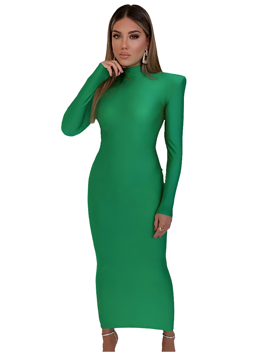 Turtleneck Solid Long Sleeve Bodycon Skinny Maxi Dress