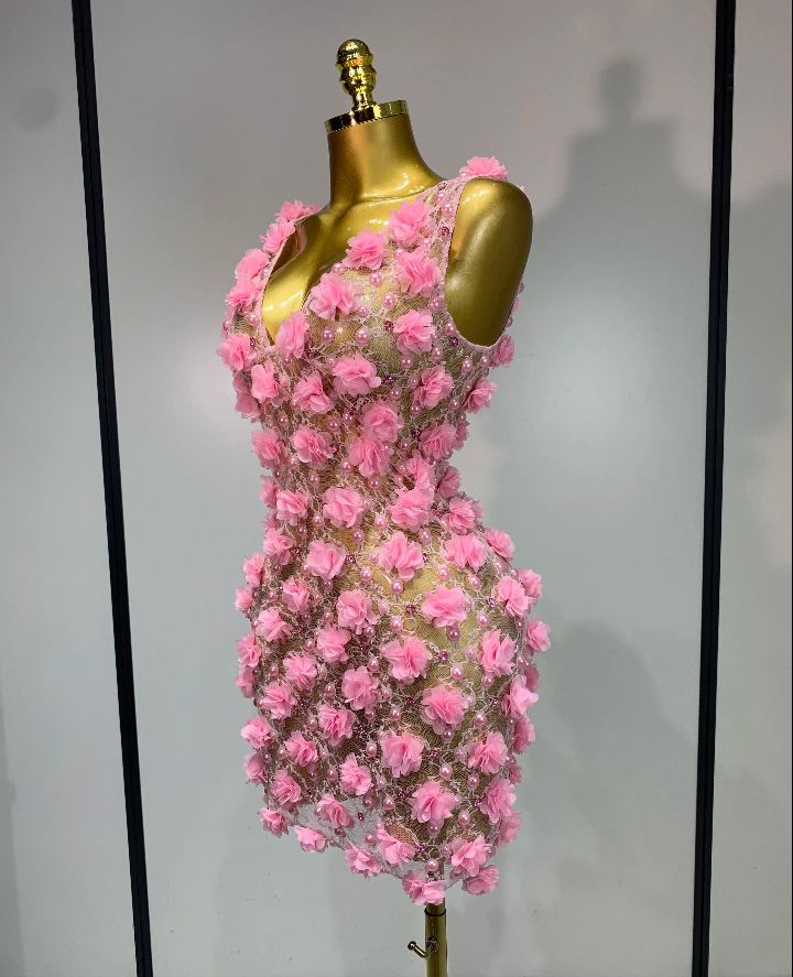 Pink/Black Flower Pearl Embroidered Sheer Transparent Lace Sleeveless Bodycon Mini Formal Party/Prom Dress