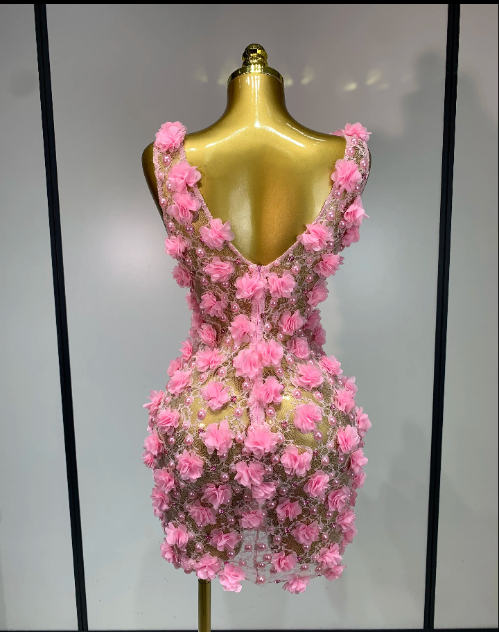 Pink/Black Flower Pearl Embroidered Sheer Transparent Lace Sleeveless Bodycon Mini Formal Party/Prom Dress