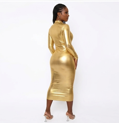 Metallic Faux Leather Turtleneck Gold/Silver Zipper Reflective Glossy Long Sleeve Bodycon Maxi Dress