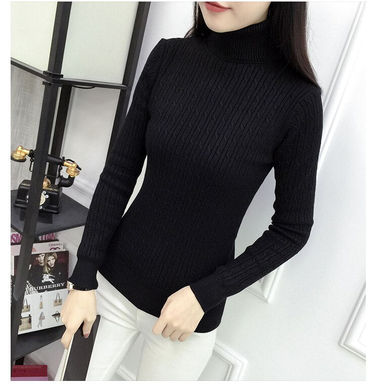 Velvet Lined Knitted  Ladies Pullover Sweater