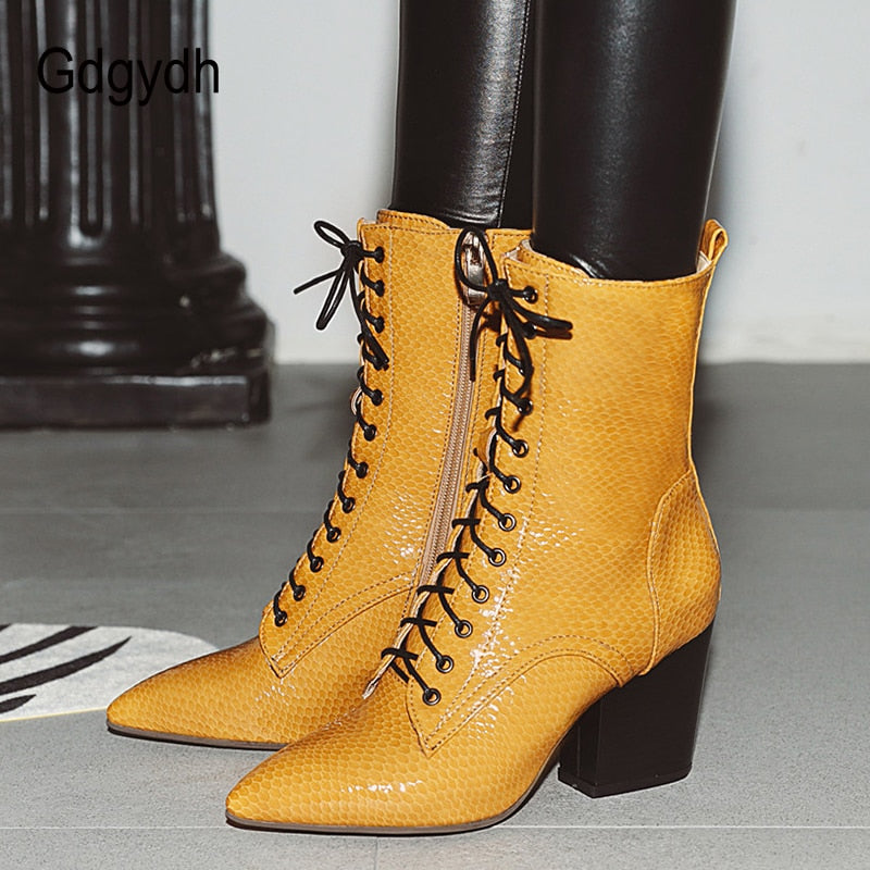 Solid Lace Up Pointed Toe Snake Ankle Strap Zipper Boots