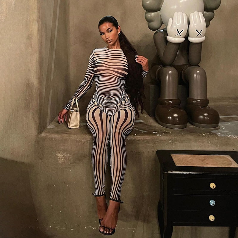 Mesh Striped Transparent Long Sleeve O-Neck 2-Piece Outfit