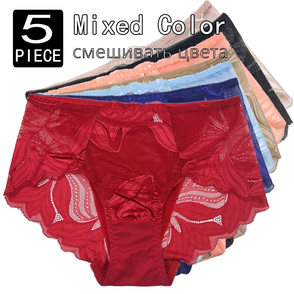 Plus Size High Rise Lace Panties to 4X