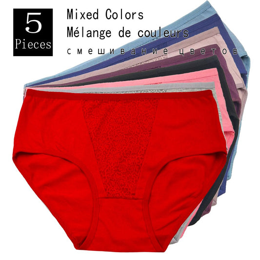 Plus Size High Rise Lace Panties to 4X