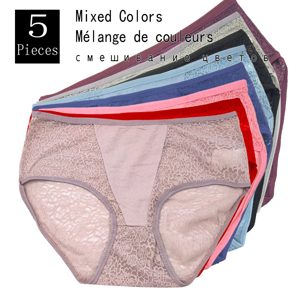 Plus Size High Rise Lace Panties to 4X