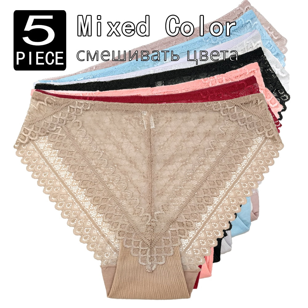 Plus Size High Rise Lace Panties to 4X