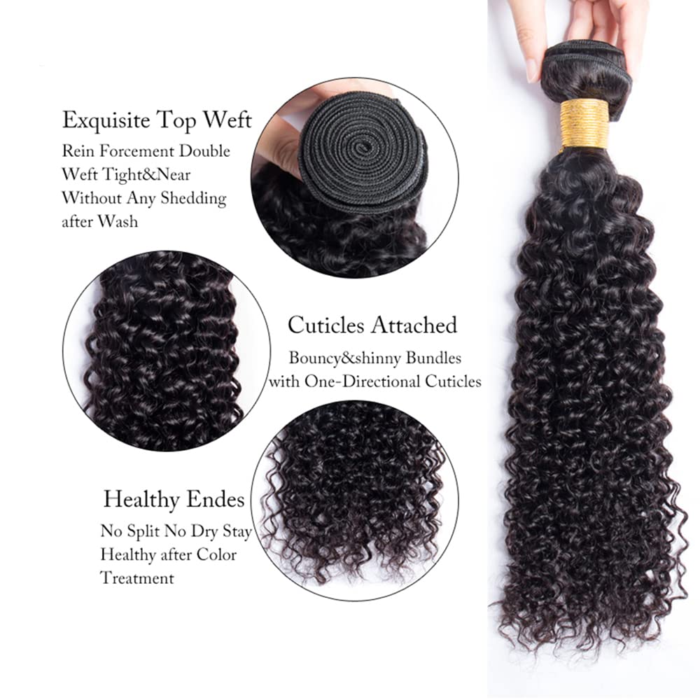 Raw Brazilian 10A Kinky Curly 100% Human Virgin Hair Bundles