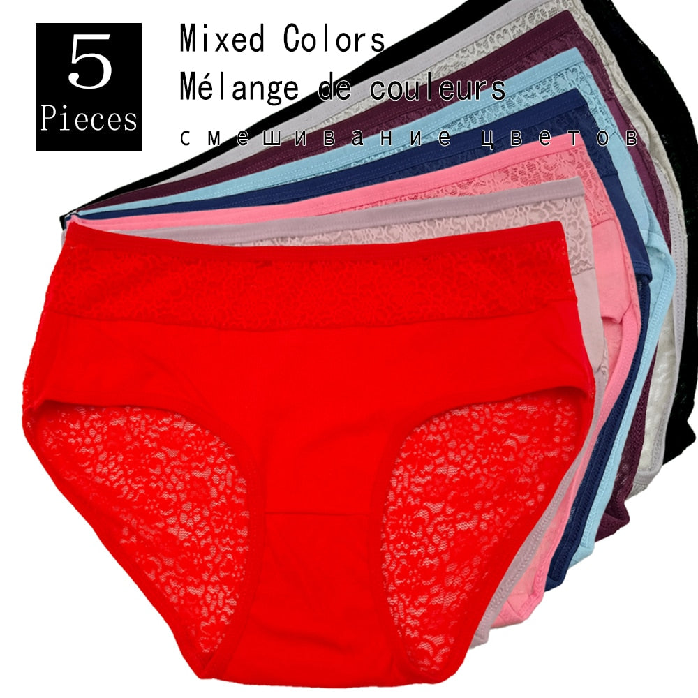 Plus Size High Rise Lace Panties to 4X