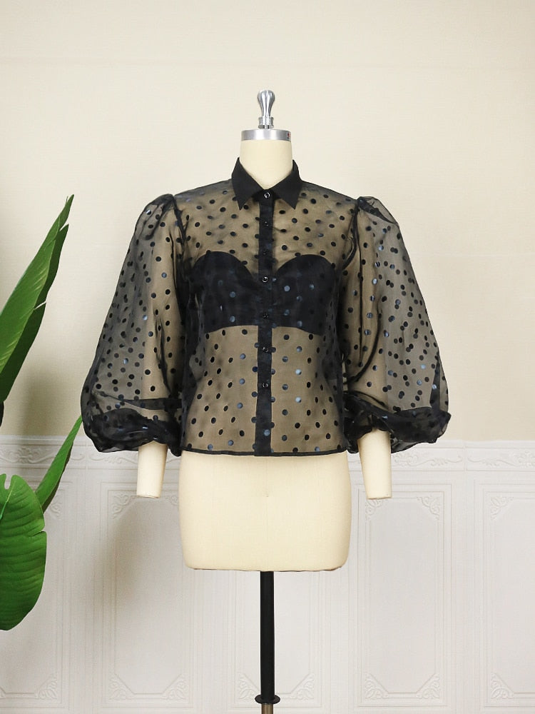 Sheer Transparent Turn Down Collar Long Puff Sleeve  Polka Dot Blouse