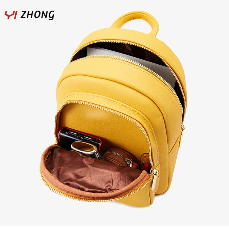 Leather Mini Multi-Functional Designer Ladies Backpack