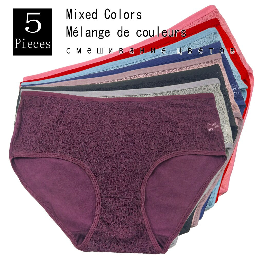 Plus Size High Rise Lace Panties to 4X