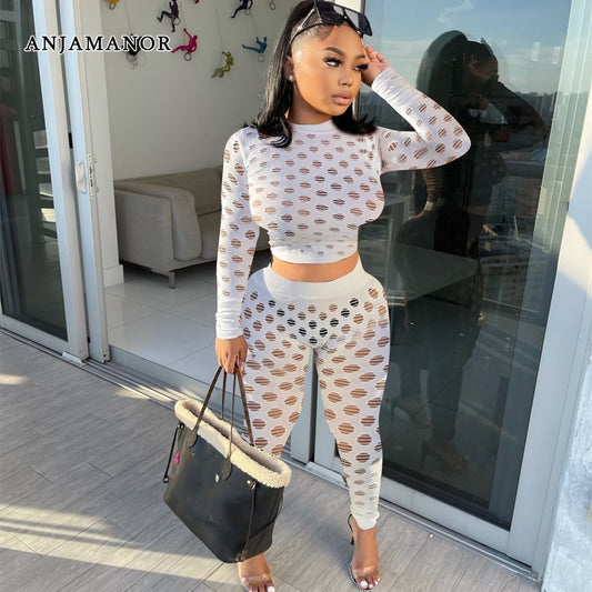 Hole Pattern Long Sleeve Hollow Out Crop Top & Pants 2-Piece Set