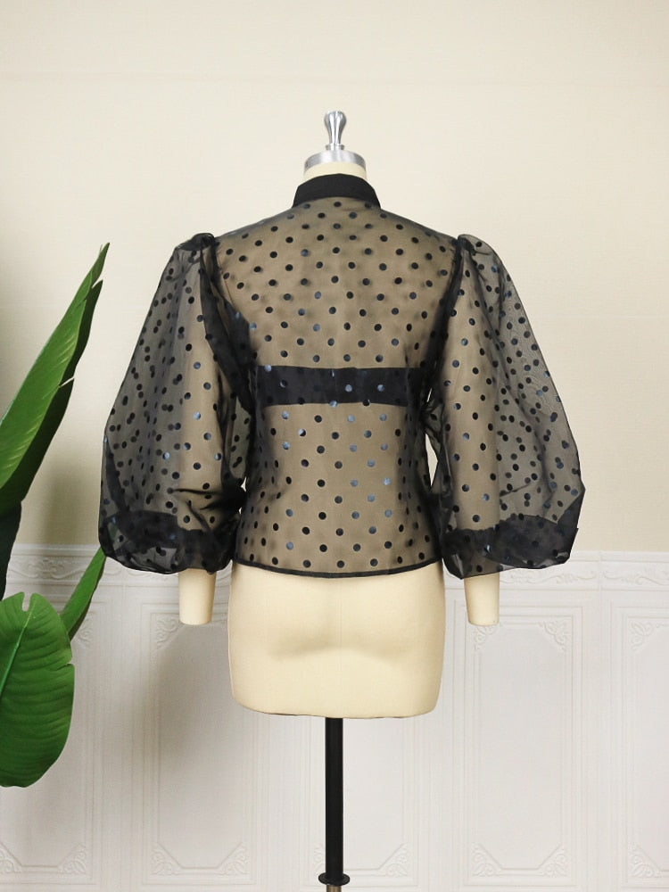 Sheer Transparent Turn Down Collar Long Puff Sleeve  Polka Dot Blouse