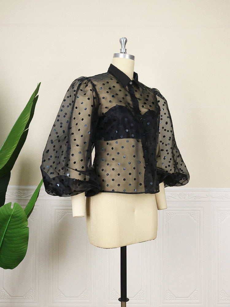 Sheer Transparent Turn Down Collar Long Puff Sleeve  Polka Dot Blouse