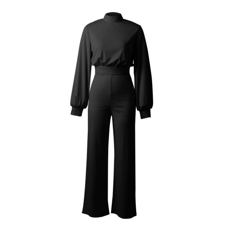 Turtleneck/Asymmetrical Wide Leg Long Sleeve/One Sleeve Jumpsuits