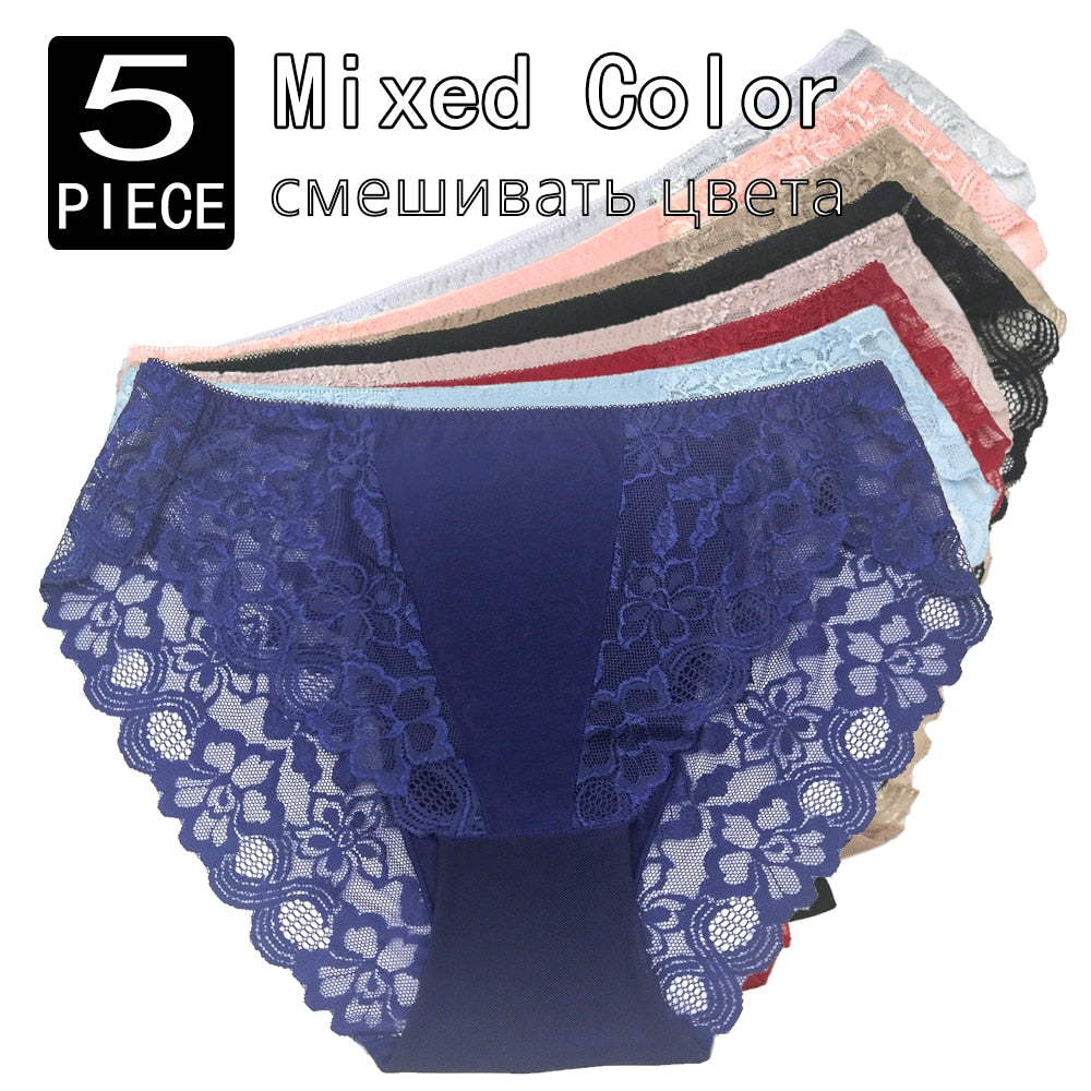 Plus Size High Rise Lace Panties to 4X