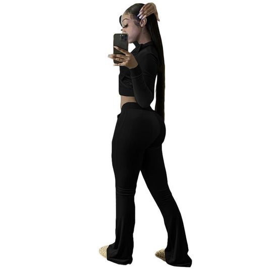 Solid Cropped Velvet Women's Hoodie Sweatjacket + Flared Sweatpants Women's Tracksuit